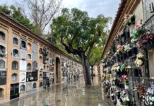 Cuenta atrás para la ampliación del Cementerio General