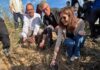 El Oceanogràfic realiza una suelta de tortugas en el 40 aniversario de l’Albufera