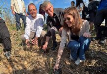 El Oceanogràfic realiza una suelta de tortugas en el 40 aniversario de l’Albufera