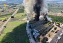 Cinco trabajadores y 3.300 animales rescatados en un incendio en Benaguacil