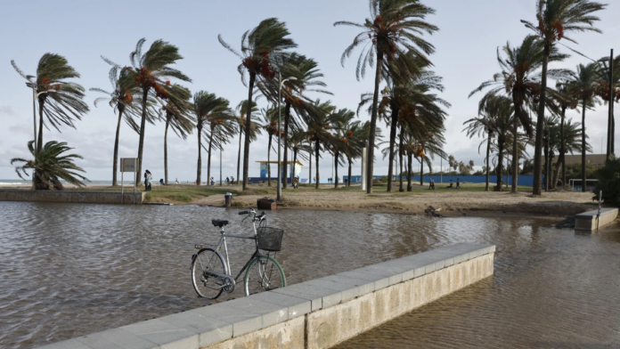 7televalencia-lluvia-patacona La supertormenta que esquivó Valencia: hasta 600 litros en una hora amenazaron la costa durante la noche