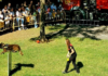 La Feria de los Animales vuelve a Valencia con actividades gratuitas para todas las edades La Feria de los Animales vuelve a Valencia con actividades gratuitas para todas las edades
