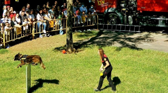 La Feria de los Animales vuelve a Valencia con actividades gratuitas para todas las edades