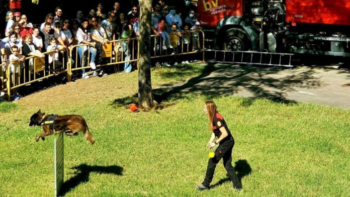 La Feria de los Animales vuelve a Valencia con actividades gratuitas para todas las edades