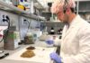 Así es el envase inteligente de paja del arroz que conservará los alimentos y frenará el desperdicio Un investigador de la UMH trabaja en un envase inteligente a partir de la paja del arroz para ayudar a conservar los alimentos
