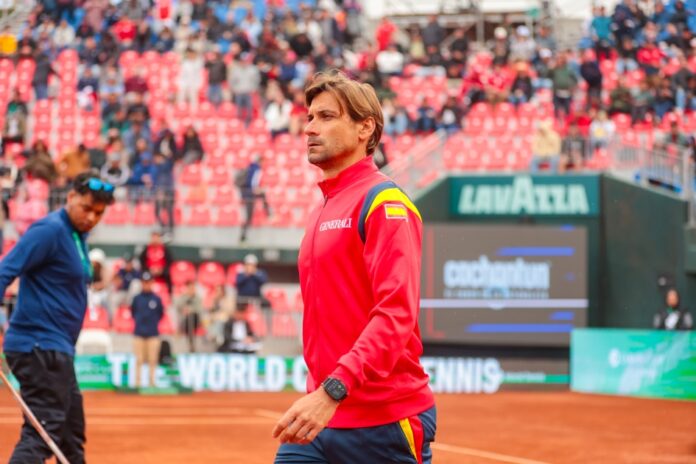 david ferrer