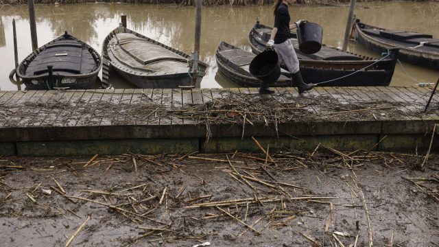 Una mujer durante las labores de limpieza del puerto de la Albufera en Catarroja. / KAI FÖRSTERLING (EFE)
